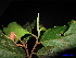  ( - XM_0027)  @11 [ ] CreativeCommons - Attribution Non-Commercial Share-Alike (2011) Cam Webb, Endro Setiawan & Hery Yanto Unspecified