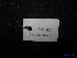  (Aporosa subcaudata - XM_0042)  @11 [ ] CreativeCommons - Attribution Non-Commercial Share-Alike (2011) Cam Webb, Endro Setiawan & Hery Yanto Unspecified