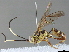  (Setanta malaise0923 - BIOUG51763-E12)  @14 [ ] CreativeCommons - Attribution (2020) CBG Photography Group Centre for Biodiversity Genomics