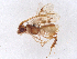  ( - BIOUG53053-B06)  @11 [ ] CreativeCommons - Attribution (2021) CBG Photography Group Centre for Biodiversity Genomics