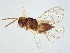  ( - BIOUG60326-H02)  @11 [ ] CreativeCommons - Attribution (2022) CBG Photography Group Centre for Biodiversity Genomics
