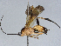  ( - BIOUG58077-C01)  @11 [ ] CreativeCommons - Attribution (2021) CBG Photography Group Centre for Biodiversity Genomics
