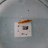  ( - ORTPL1067)  @11 [ ] CreativeCommons Attribution (2024) Dept Invertebrate Zoology and Hydrobiology, University of Lodz University of Lodz