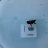  ( - ORTPL1299)  @11 [ ] CreativeCommons Attribution (2024) Dept Invertebrate Zoology and Hydrobiology, University of Lodz University of Lodz
