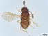  ( - BIOUG61809-H02)  @11 [ ] CreativeCommons - Attribution (2022) CBG Photography Group Centre for Biodiversity Genomics