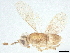  ( - BIOUG63042-G05)  @11 [ ] CreativeCommons - Attribution (2022) CBG Photography Group Centre for Biodiversity Genomics