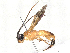  ( - BIOUG58187-H11)  @11 [ ] CreativeCommons - Attribution (2021) CBG Photography Group Centre for Biodiversity Genomics