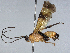  ( - BIOUG62301-A03)  @11 [ ] CreativeCommons - Attribution (2021) CBG Photography Group Centre for Biodiversity Genomics