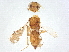  ( - BIOUG62616-E10)  @11 [ ] CreativeCommons - Attribution (2022) CBG Photography Group Centre for Biodiversity Genomics