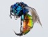  ( - ZMUO.065355)  @11 [ ] by-nc (2023) Marko Mutanen University of Oulu
