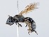  ( - ZMUO.065447)  @11 [ ] by-nc (2023) Marko Mutanen University of Oulu