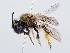  ( - ZMUO.065456)  @11 [ ] by-nc (2023) Marko Mutanen University of Oulu