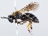  ( - ZMUO.065478)  @11 [ ] by-nc (2023) Marko Mutanen University of Oulu