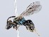  ( - ZMUO.065498)  @11 [ ] by-nc (2023) Marko Mutanen University of Oulu