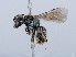  ( - ZMUO.065533)  @11 [ ] by-nc (2023) Marko Mutanen University of Oulu