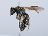  ( - ZMUO.065541)  @11 [ ] by-nc (2023) Marko Mutanen University of Oulu