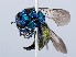  ( - ZMUO.065549)  @11 [ ] by-nc (2023) Marko Mutanen University of Oulu