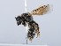  ( - ZMUO.065557)  @11 [ ] by-nc (2023) Marko Mutanen University of Oulu