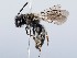  ( - ZMUO.065563)  @11 [ ] by-nc (2023) Marko Mutanen University of Oulu