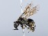  ( - ZMUO.065577)  @11 [ ] by-nc (2023) Marko Mutanen University of Oulu