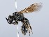  ( - ZMUO.065591)  @11 [ ] by-nc (2023) Marko Mutanen University of Oulu