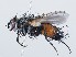  ( - ZMUO.065651)  @11 [ ] by-nc (2023) Marko Mutanen University of Oulu