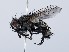  ( - ZMUO.065752)  @11 [ ] by-nc (2023) Marko Mutanen University of Oulu