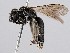  ( - ZMUO.065935)  @11 [ ] by-nc (2023) Marko Mutanen University of Oulu