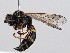  ( - ZMUO.065958)  @11 [ ] by-nc (2023) Marko Mutanen University of Oulu