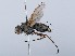  ( - ZMUO.066079)  @11 [ ] by-nc (2023) Marko Mutanen University of Oulu