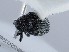 ( - ZMUO.066188)  @11 [ ] by-nc (2023) Marko Mutanen University of Oulu