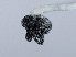  ( - ZMUO.066190)  @11 [ ] by-nc (2023) Marko Mutanen University of Oulu
