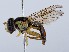  ( - ZMUO.066257)  @11 [ ] by-nc (2023) Marko Mutanen University of Oulu