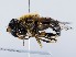  ( - ZMUO.066268)  @11 [ ] by-nc (2023) Marko Mutanen University of Oulu