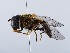  ( - ZMUO.066296)  @11 [ ] by-nc (2023) Marko Mutanen University of Oulu