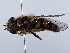  ( - ZMUO.066297)  @11 [ ] by-nc (2023) Marko Mutanen University of Oulu