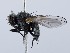  ( - ZMUO.066338)  @11 [ ] by-nc (2023) Marko Mutanen University of Oulu