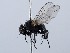  ( - ZMUO.066340)  @11 [ ] by-nc (2023) Marko Mutanen University of Oulu