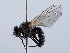  ( - ZMUO.066356)  @11 [ ] by-nc (2023) Marko Mutanen University of Oulu