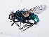  ( - ZMUO.066398)  @11 [ ] by-nc (2023) Marko Mutanen University of Oulu