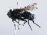  ( - ZMUO.066402)  @11 [ ] by-nc (2023) Marko Mutanen University of Oulu