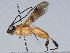  ( - BIOUG58057-H06)  @11 [ ] CreativeCommons - Attribution (2021) CBG Photography Group Centre for Biodiversity Genomics