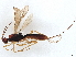  ( - BIOUG61430-G07)  @11 [ ] CreativeCommons - Attribution (2022) CBG Photography Group Centre for Biodiversity Genomics