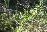  ( - IBO-DEMATT-12)  @11 [ ] Copyright (2014) IBONE IBONE
