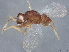  ( - BIOUG54242-C05)  @11 [ ] CreativeCommons - Attribution (2022) CBG Photography Group Centre for Biodiversity Genomics