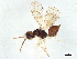  ( - BIOUG61149-F05)  @11 [ ] CreativeCommons - Attribution (2022) CBG Photography Group Centre for Biodiversity Genomics