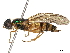  ( - BIOUG53720-H05)  @11 [ ] CreativeCommons - Attribution (2020) CBG Photography Group Centre for Biodiversity Genomics