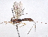  ( - BIOUG59934-B05)  @11 [ ] CreativeCommons - Attribution (2022) CBG Photography Group Centre for Biodiversity Genomics