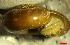  ( - AEG_DS3)  @11 [ ] CCA (2024) University of Lodz Dept of Invertebrate Zoology and Hydrobiology, University of Lodz