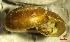  ( - AEG_DS4)  @11 [ ] CCA (2024) University of Lodz Dept of Invertebrate Zoology and Hydrobiology, University of Lodz